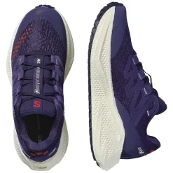 Discount Salomon Aero Glide 3 GRVL Dam