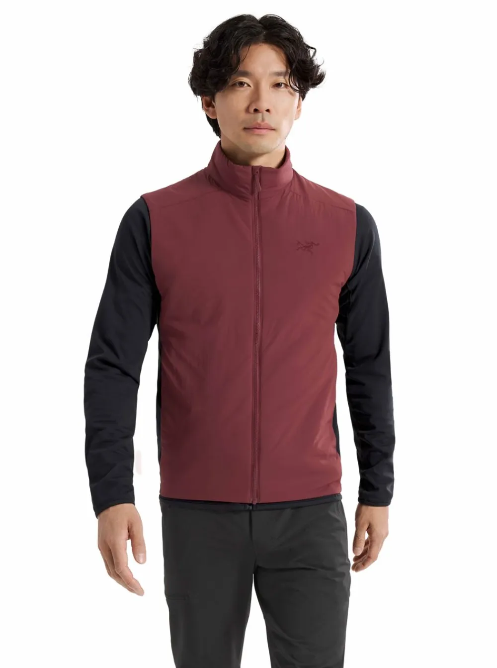 Best Arc'teryx Atom Vest Herr