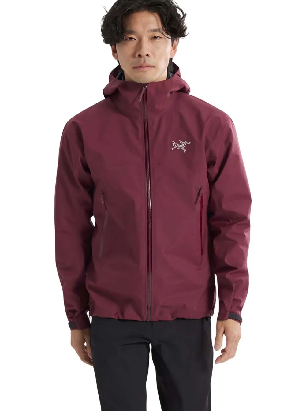 Online Arc'teryx Beta Jacket Herr