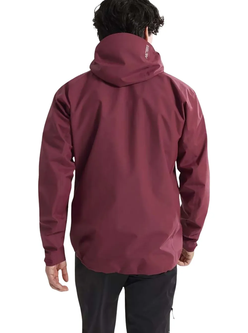 Online Arc'teryx Beta Jacket Herr