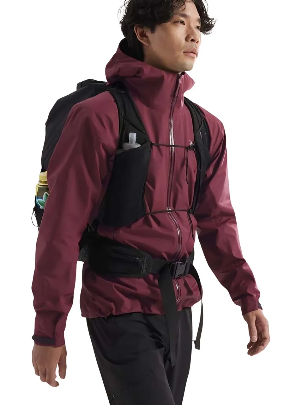 Online Arc'teryx Beta Jacket Herr