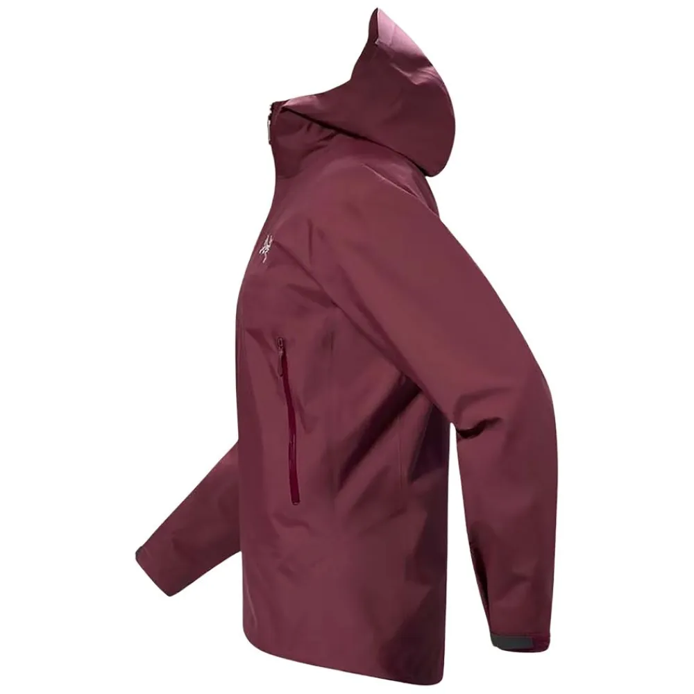 Online Arc'teryx Beta Jacket Herr