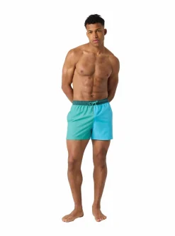 Online Björn Borg BORG BLOCKED SWIM SHORTS HERR