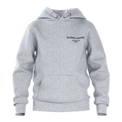 Allt Under Överdelar|Hoodies | Björn Borg BORG ESSENTIAL 1 HOODIE junior