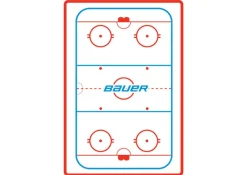 New Bauer Coachtavla