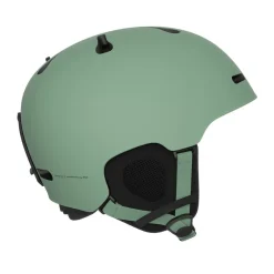 Online POC Fornix MIPS