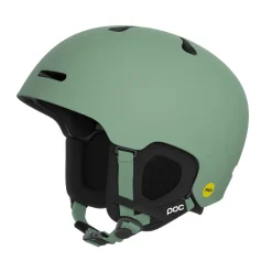 Online POC Fornix MIPS
