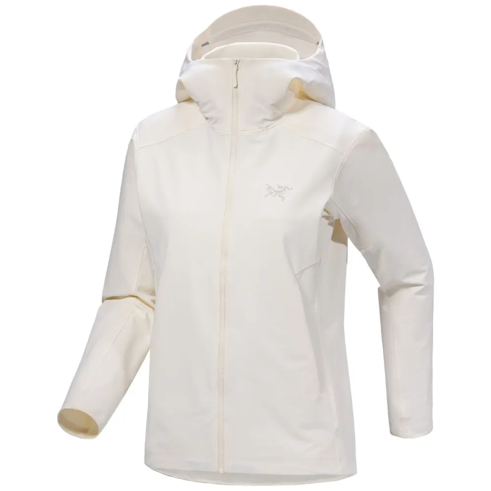 Online Arc'teryx Gamma Hoody Dam