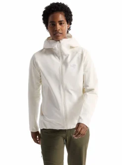 Online Arc'teryx Gamma Hoody Dam