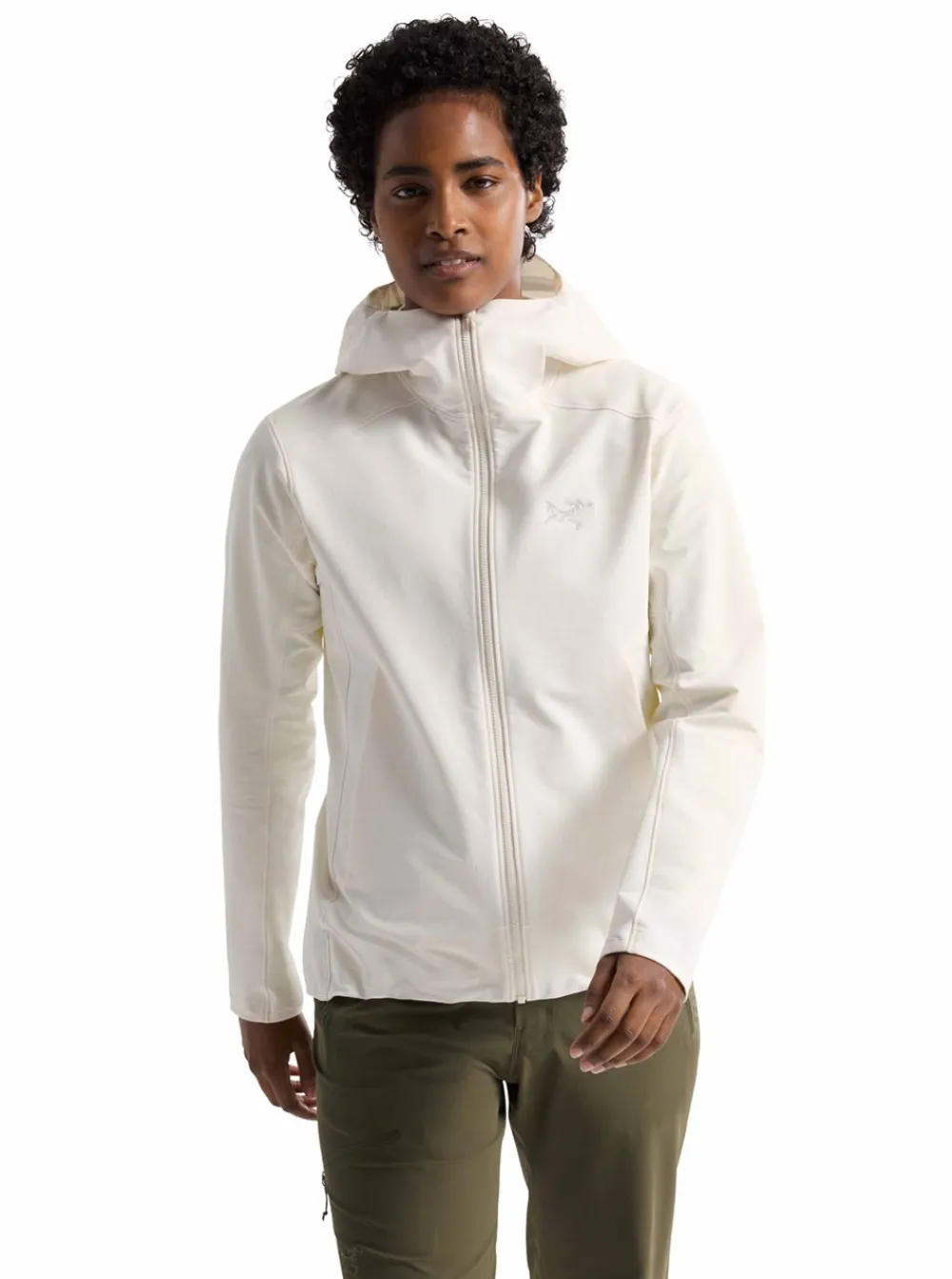 Online Arc'teryx Gamma Hoody Dam