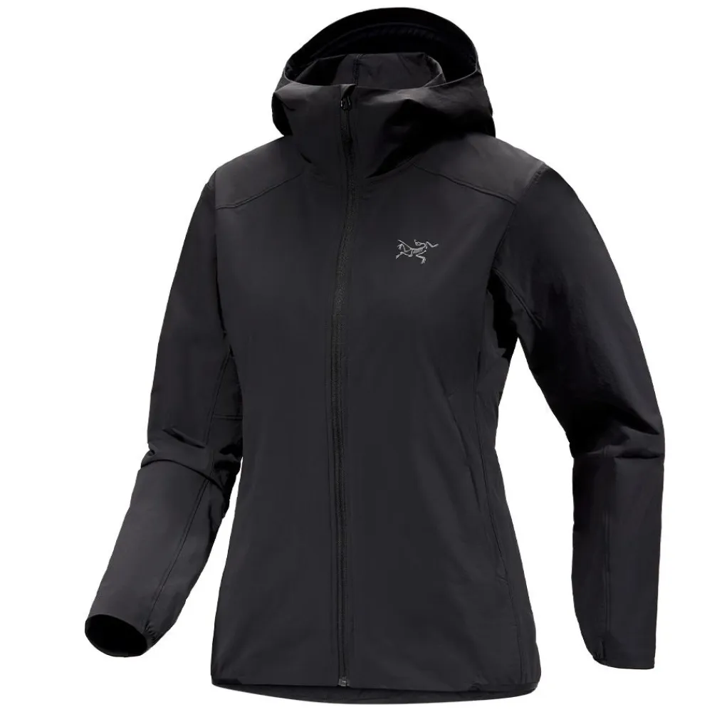Best Arc'teryx Gamma Lightweight Hoody Dam