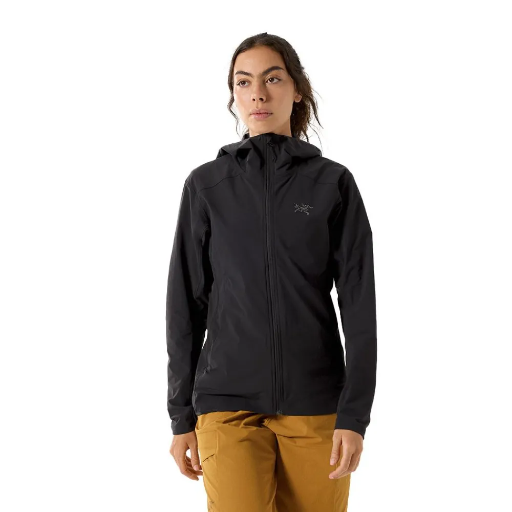 Best Arc'teryx Gamma Lightweight Hoody Dam