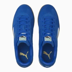 Allt Under Damskor|Allt Under Herrskor | Puma Handball Shoes