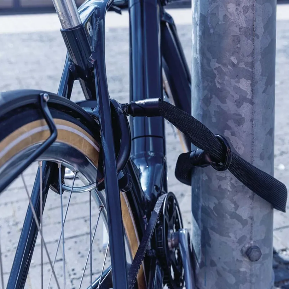 ABUS Kätting 6 mm IvyTec Adapter