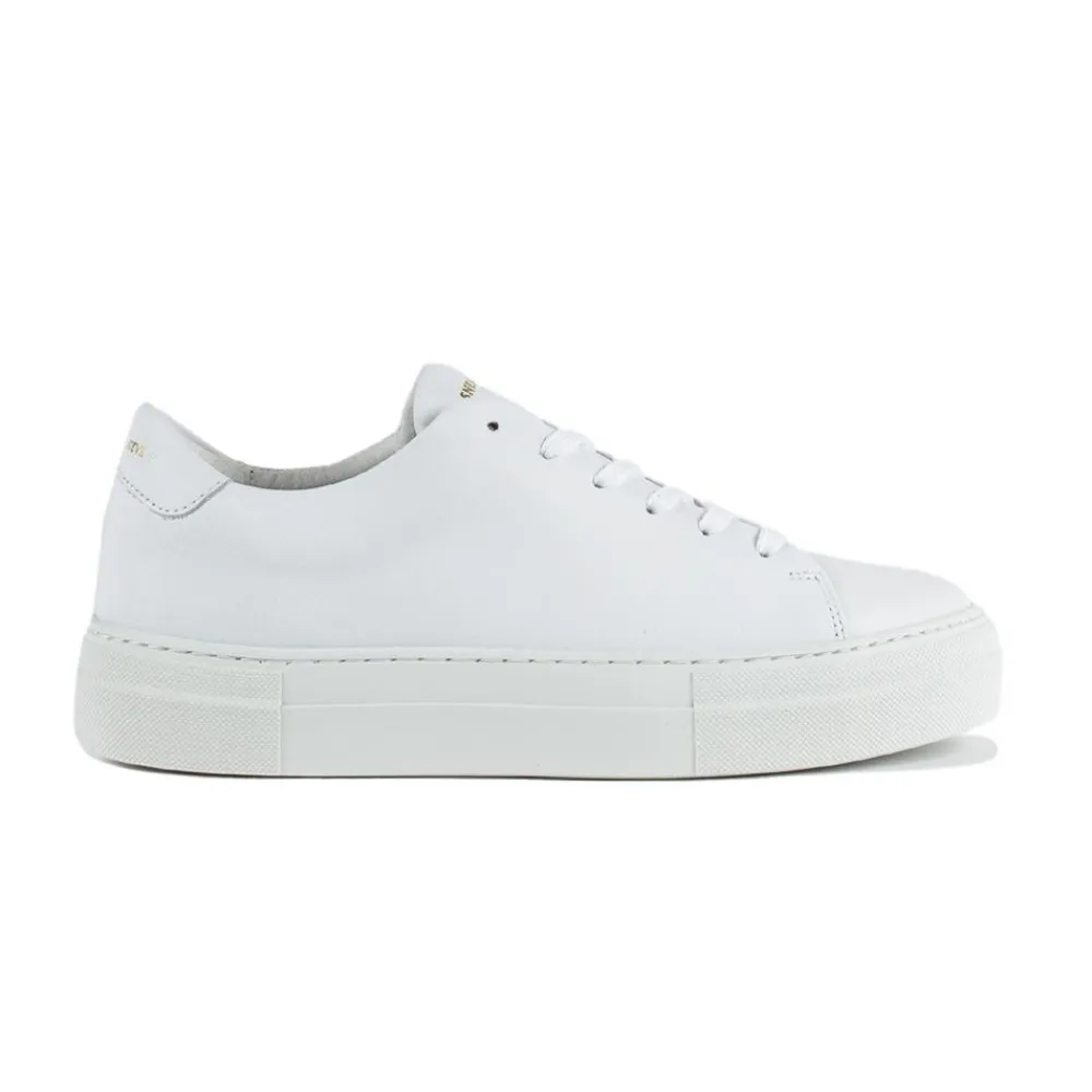 Allt Under Damskor|Sneakers Dam | Sneaky Steve Moore Dam