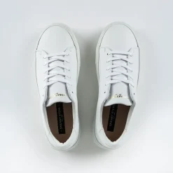 Allt Under Damskor|Sneakers Dam | Sneaky Steve Moore Dam