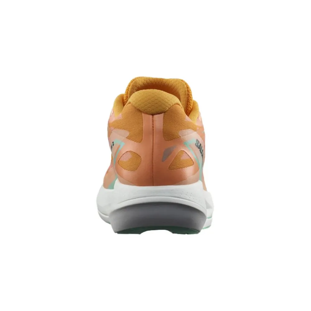 Hot Salomon Phantasm 2 Dam