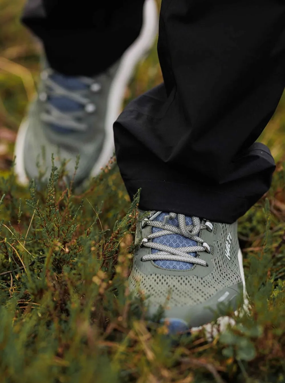 New Halti Rapid Low WR trail sneaker Herr