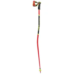 Leki WCR GS 3D