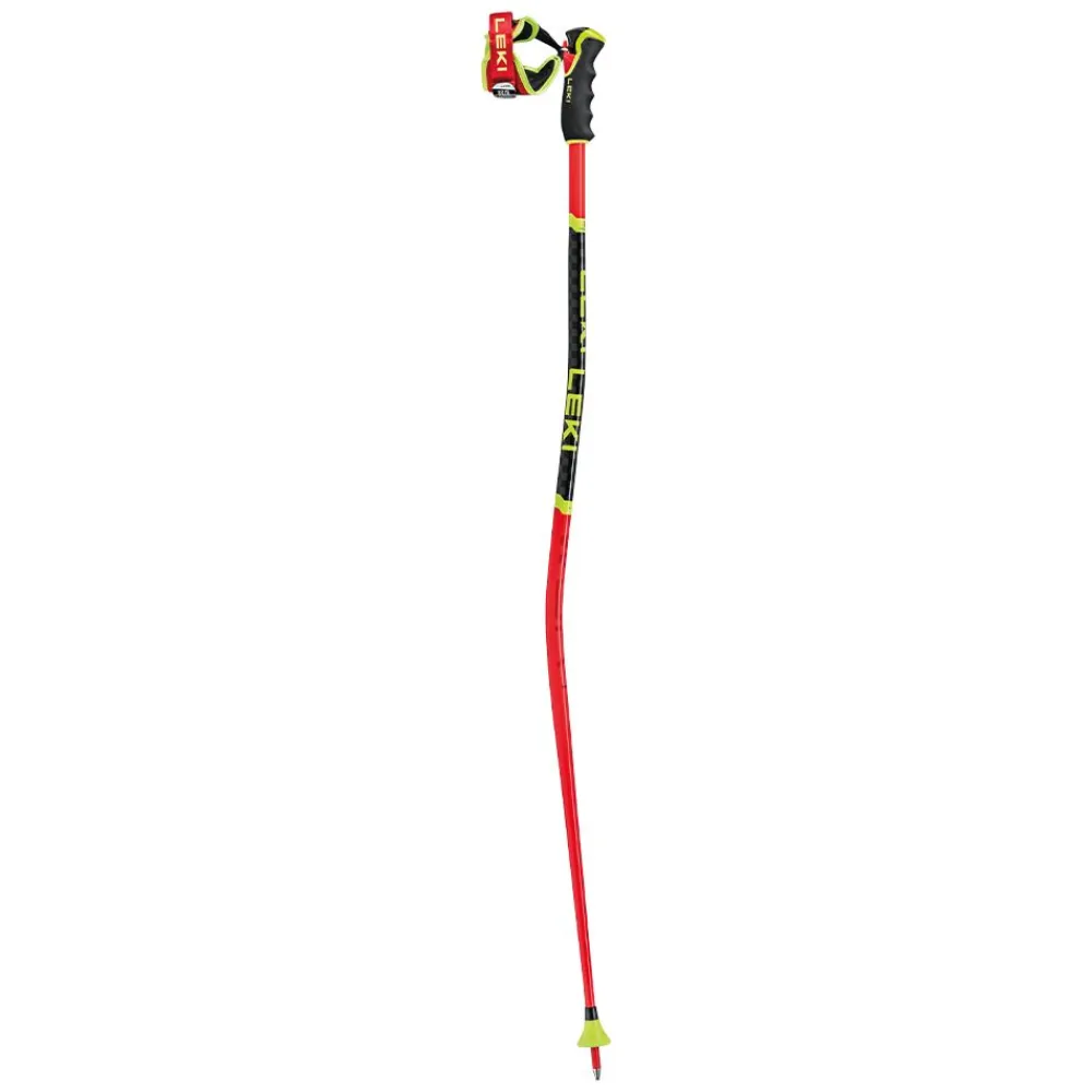 Leki WCR GS 3D