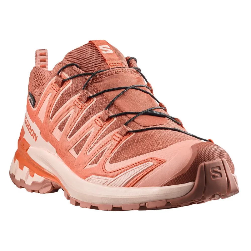 Allt Under Damskor|Allt Inom Outdoor | Salomon XA PRO 3D V9 GORE-TEX DAM