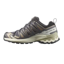 Allt Under Damskor|Allt Under Löpning | Salomon XA Pro 3D V9 Gore-Tex 9 Dam