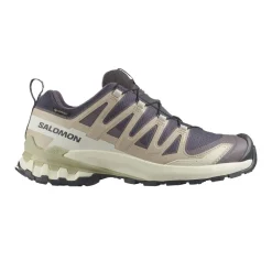 Best Salomon XA Pro 3D V9 Gore-Tex 9 Dam